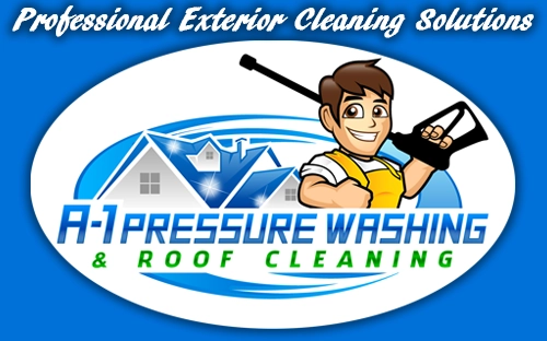 A-1 Pressure Washing & Roof Cleaning| FREE ESTIMATES| 941-815-8454